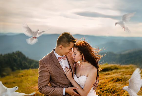 free bird photoshop overlays