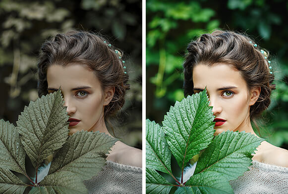 Film Lightroom Presets Couverture