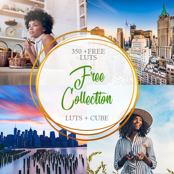 banner professional elementary bundle