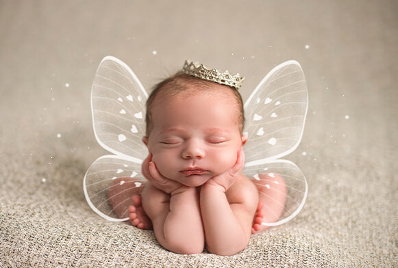 free fairy wings overlay