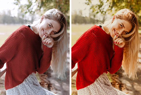 India Earl Presets Cover