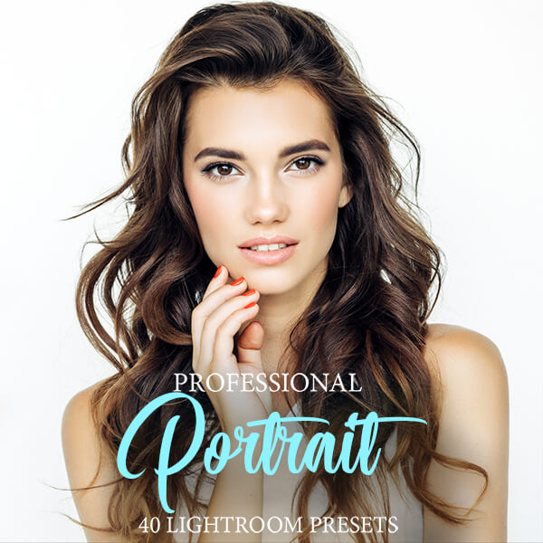 banner lr presets portrait pro collection