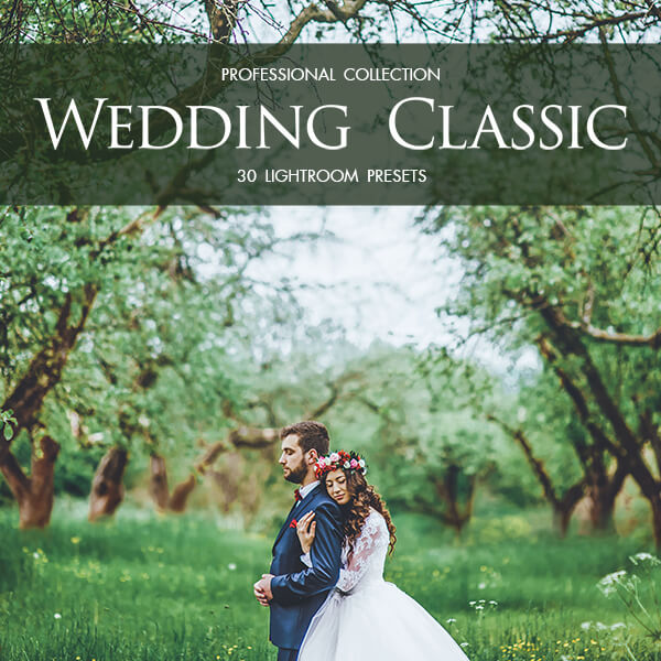 banner lr presets wedding classic