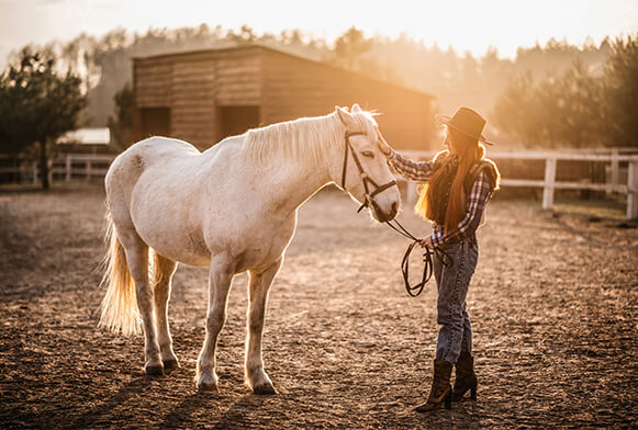 Mango Street Lightroom Presets Cover