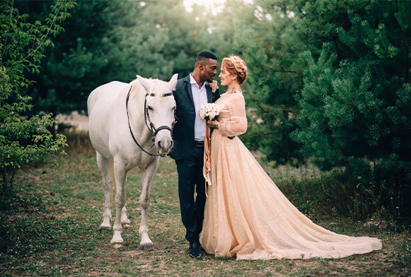 Noble Lightroom Presets Cover