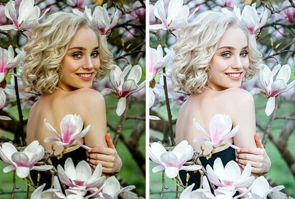 Préréglages pastel pour la couverture Lightroom