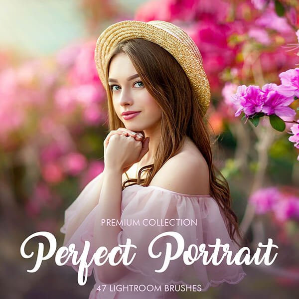 banner lr presets perfect portrait collection