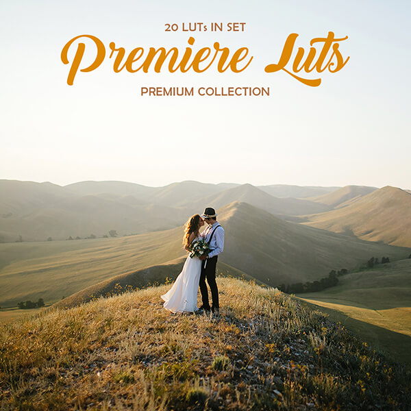 banner professional premiere luts