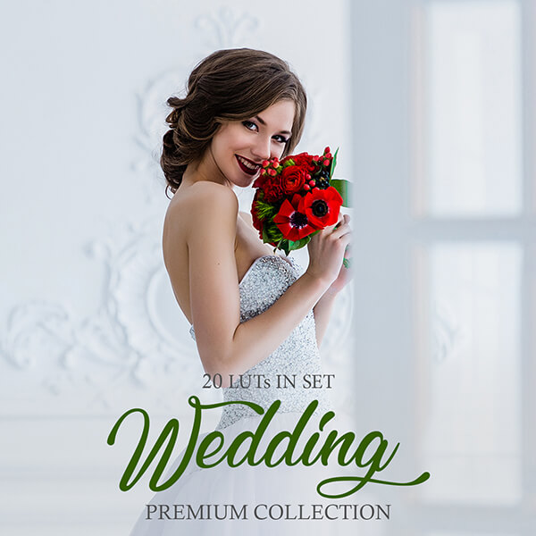 banner professional wedding luts