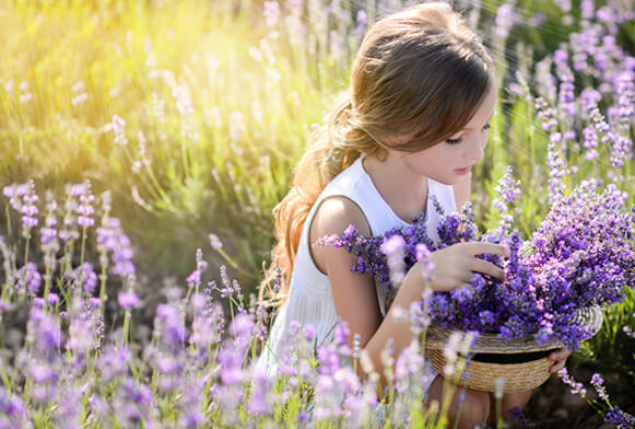 free sun rays photoshop overlays